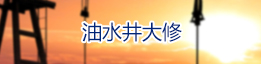 公司簡介